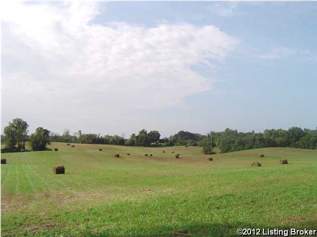 0 Swamp Hollow Road Canmer, KY 42722 - Photo 1 of 15 Primary Photo