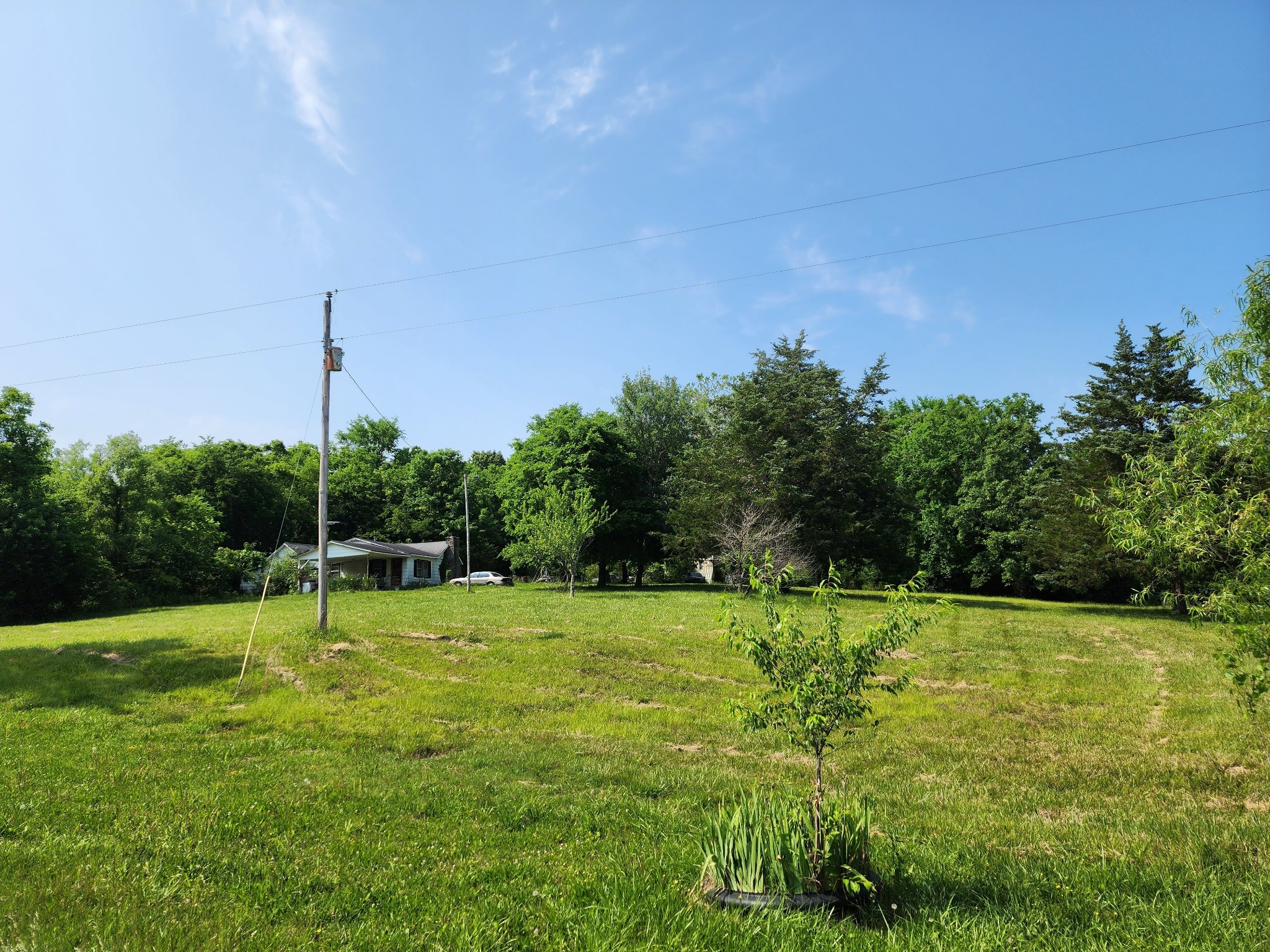11401 Powells Chapel Road Lebanon, TN 37090 - Photo 3 of 3 a view of a field with a tree in the background
