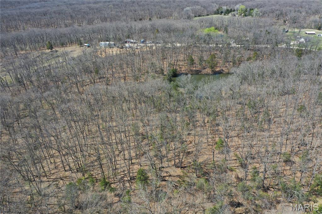 0 Tree Farm Road High Hill, MO 63350 - Photo 11 of 28