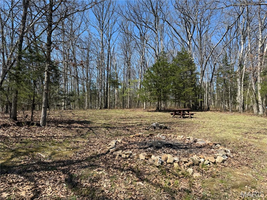 0 Tree Farm Road High Hill, MO 63350 - Photo 18 of 28