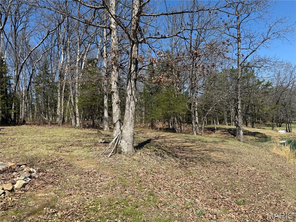 0 Tree Farm Road High Hill, MO 63350 - Photo 19 of 28