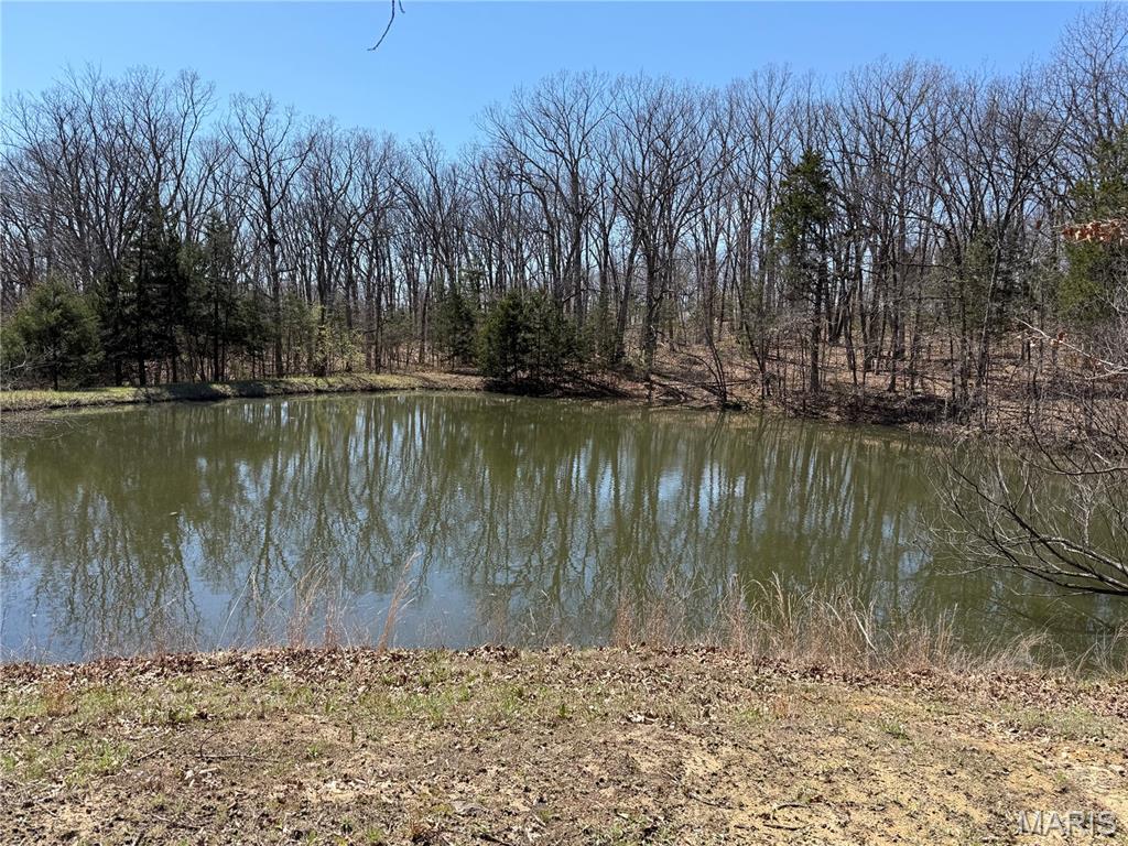0 Tree Farm Road High Hill, MO 63350 - Photo 21 of 28