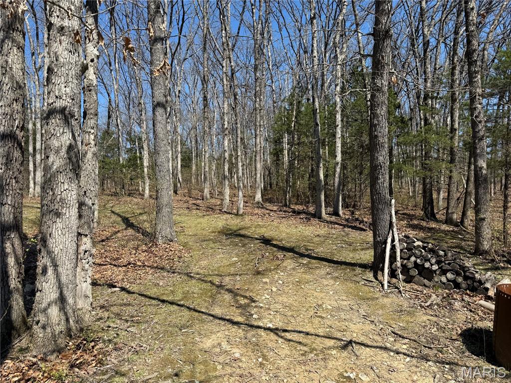 0 Tree Farm Road High Hill, MO 63350 - Photo 22 of 28