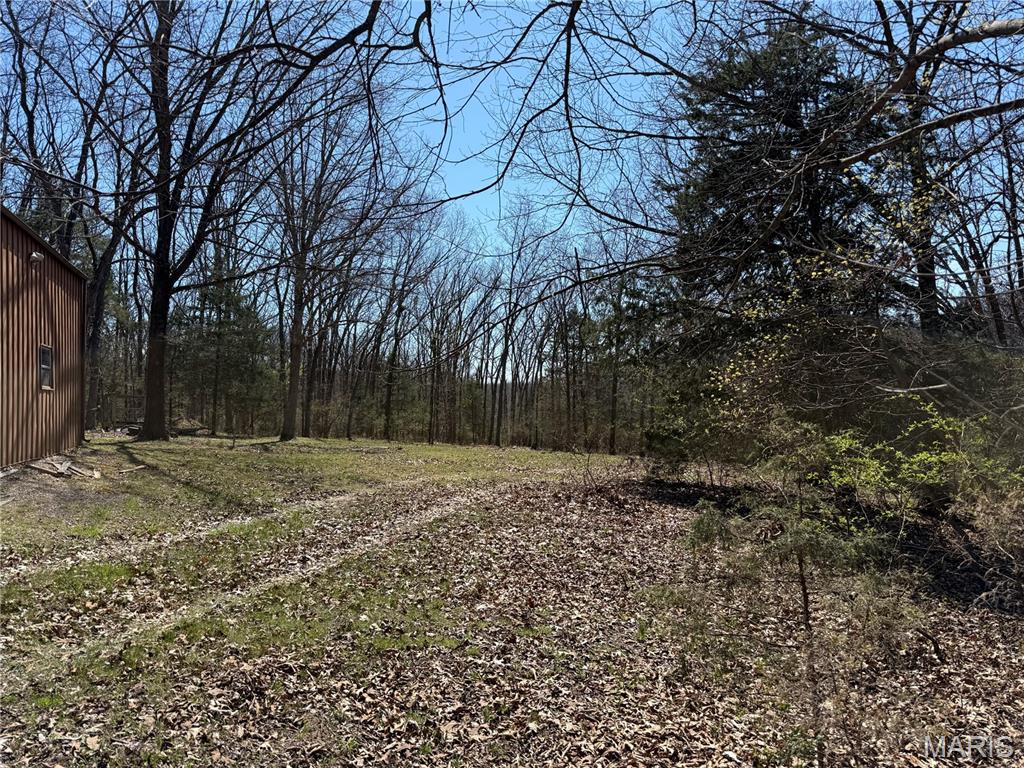 0 Tree Farm Road High Hill, MO 63350 - Photo 24 of 28