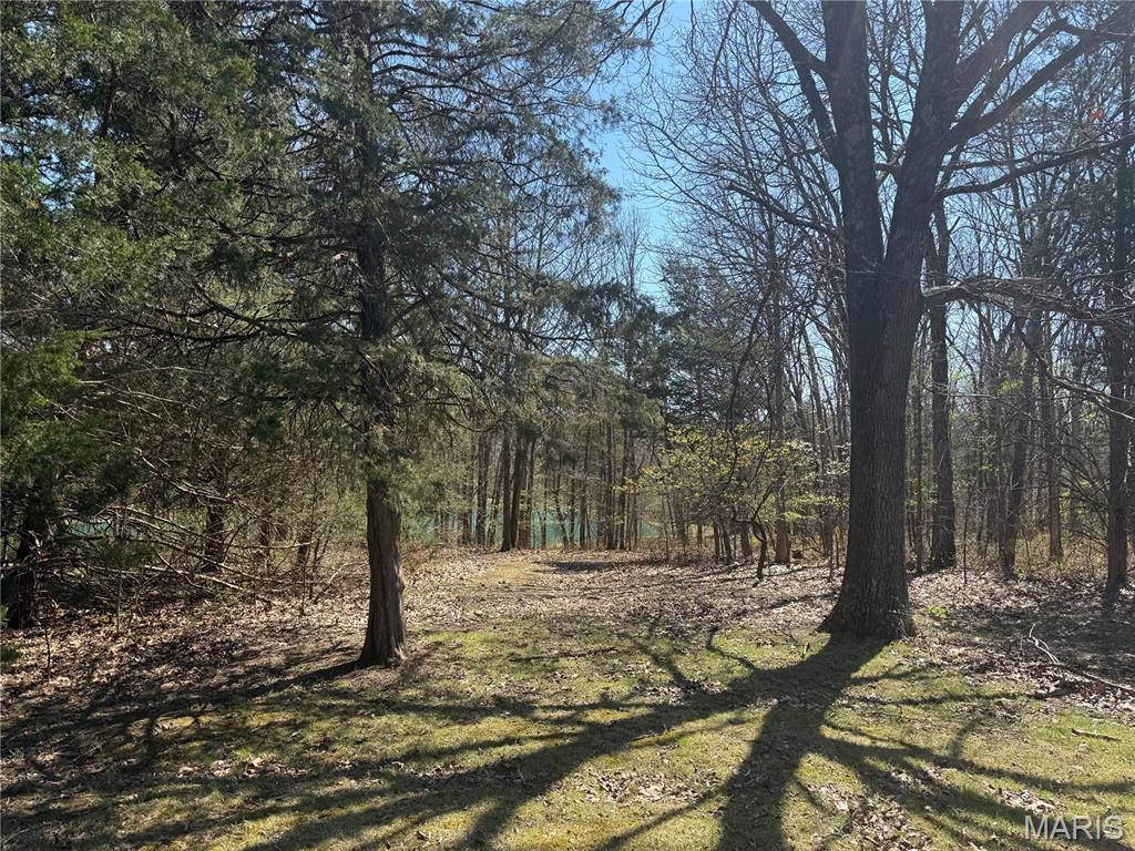 0 Tree Farm Road High Hill, MO 63350 - Photo 27 of 28