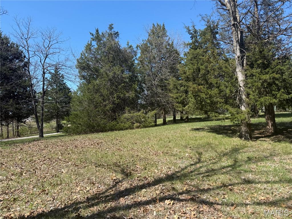 0 Tree Farm Road High Hill, MO 63350 - Photo 28 of 28