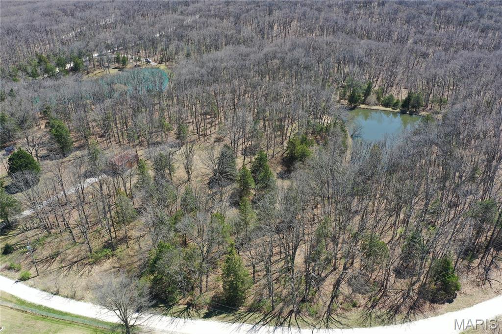 0 Tree Farm Road High Hill, MO 63350 - Photo 3 of 28