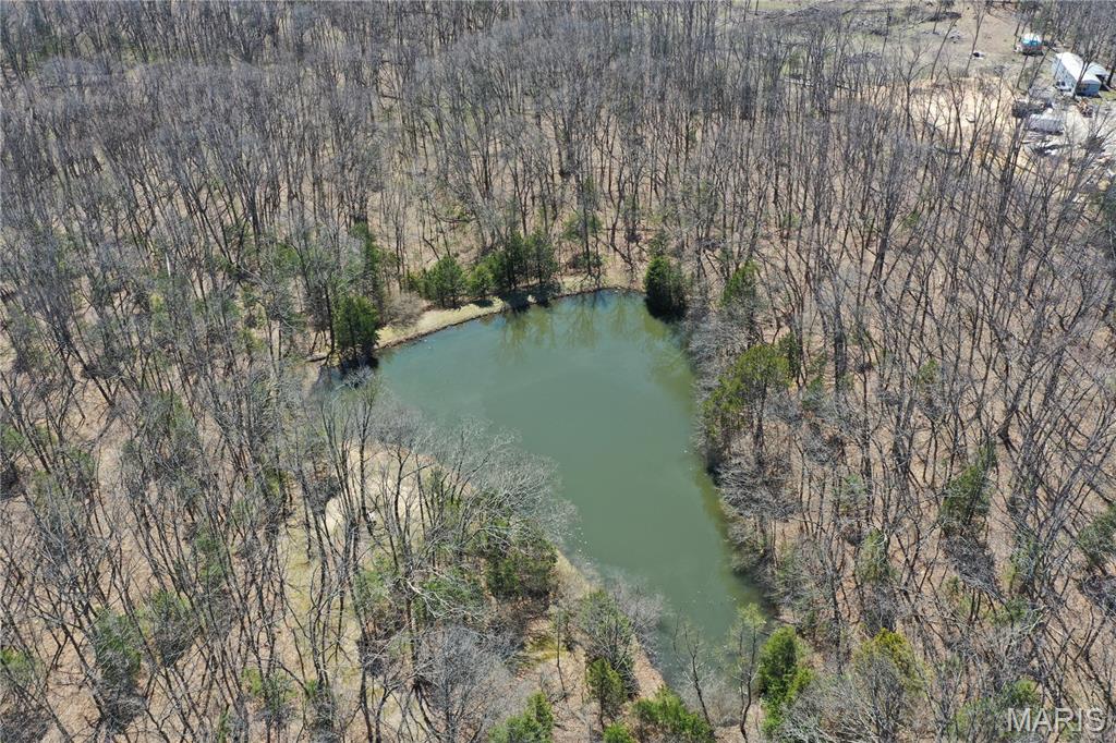 0 Tree Farm Road High Hill, MO 63350 - Photo 7 of 28