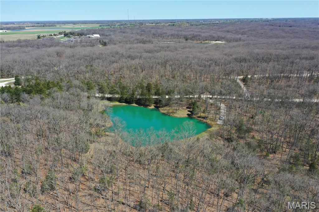 0 Tree Farm Road High Hill, MO 63350 - Photo 8 of 28