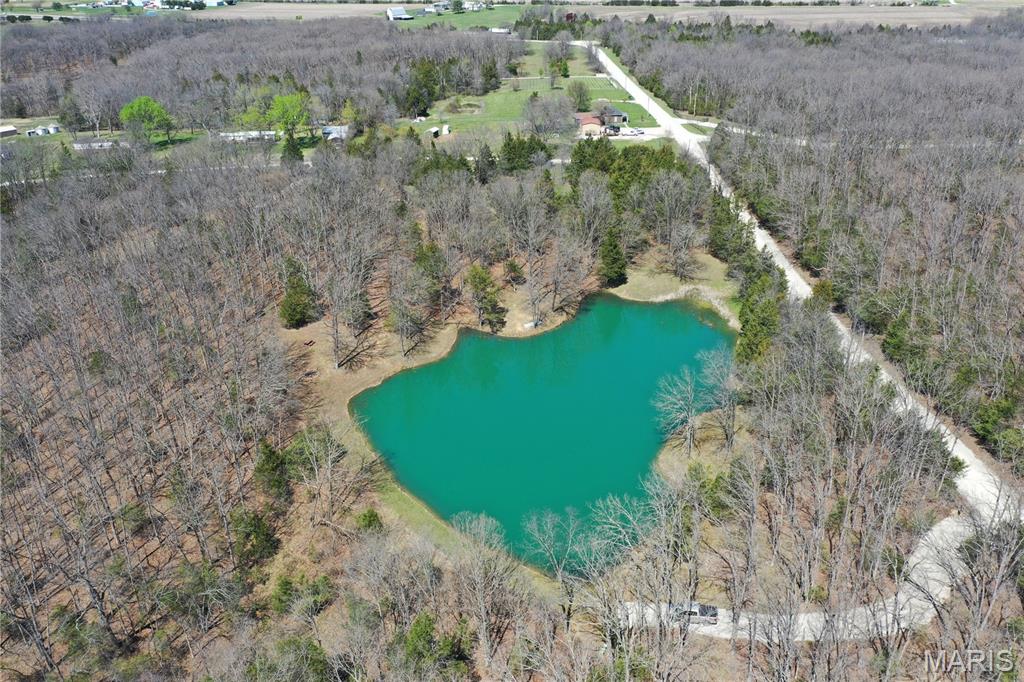 0 Tree Farm Road High Hill, MO 63350 - Photo 10 of 28