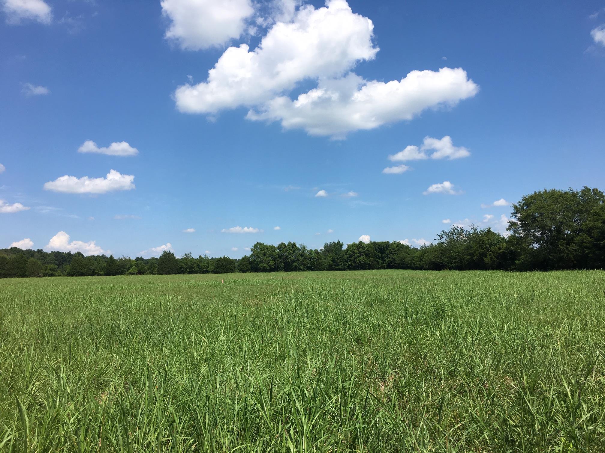 10 Lunns Store Road Chapel Hill, TN 37034 - Photo 1 of 1 Gallery Image 1