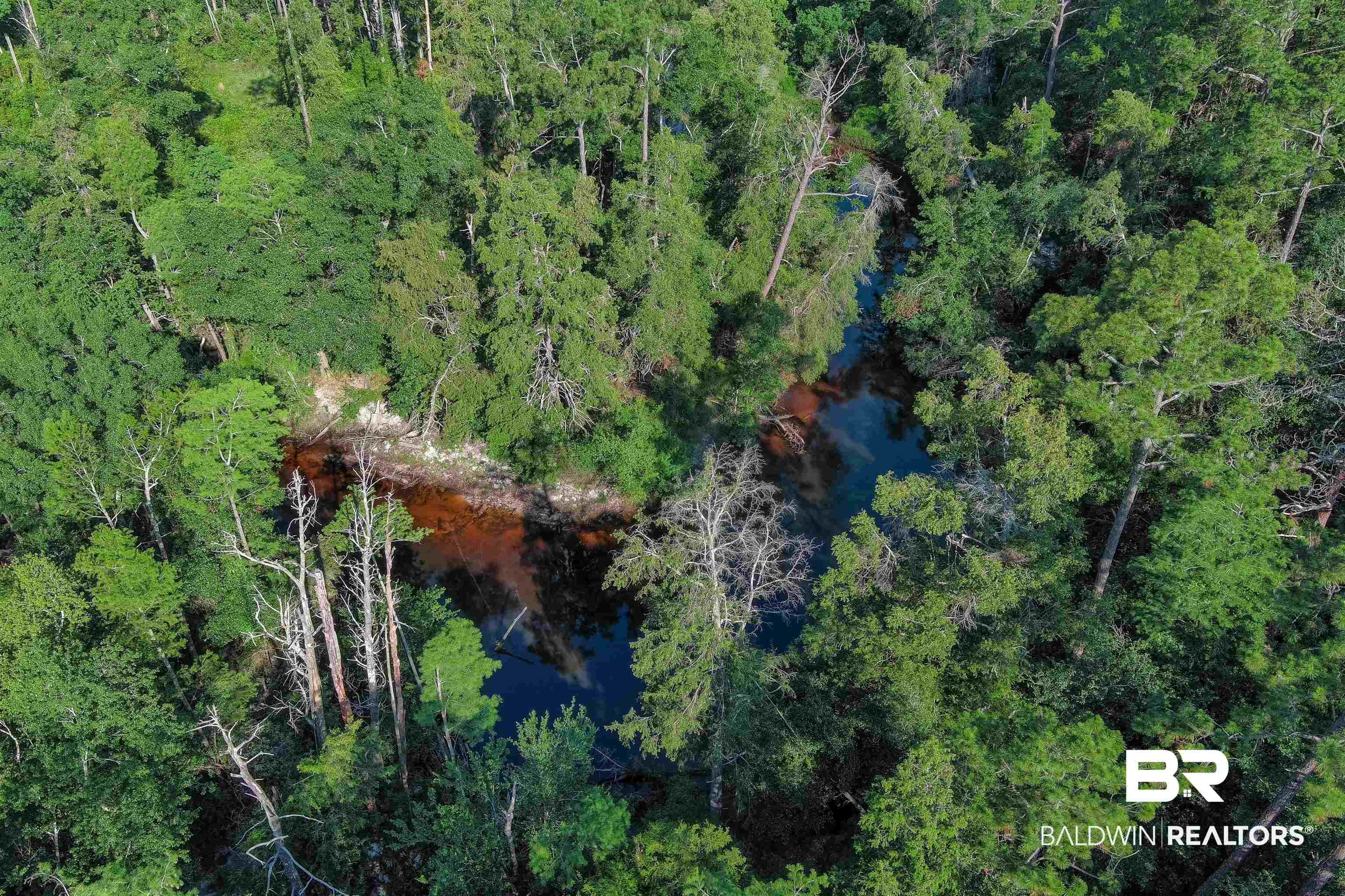 19755 Vaughn Road Seminole, AL 36574 - Photo 29 of 45