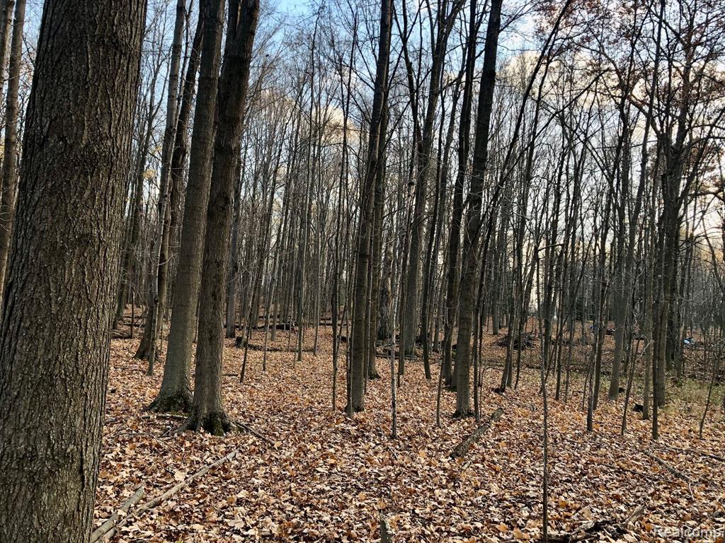 0 East Brocker Road Metamora, MI 48455 - Photo 20 of 25