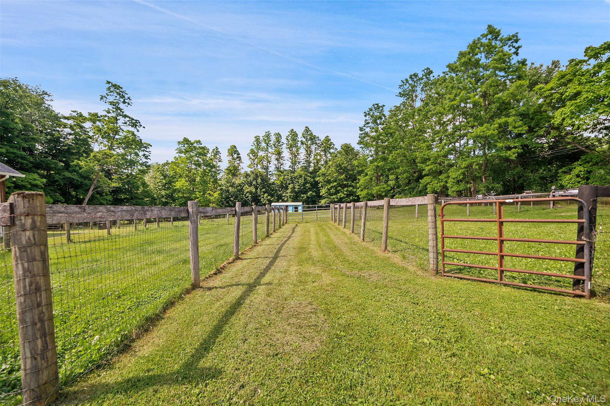 73 Lake Ellis Road Wingdale, NY 12594 - Photo 33 of 43 Paddocks