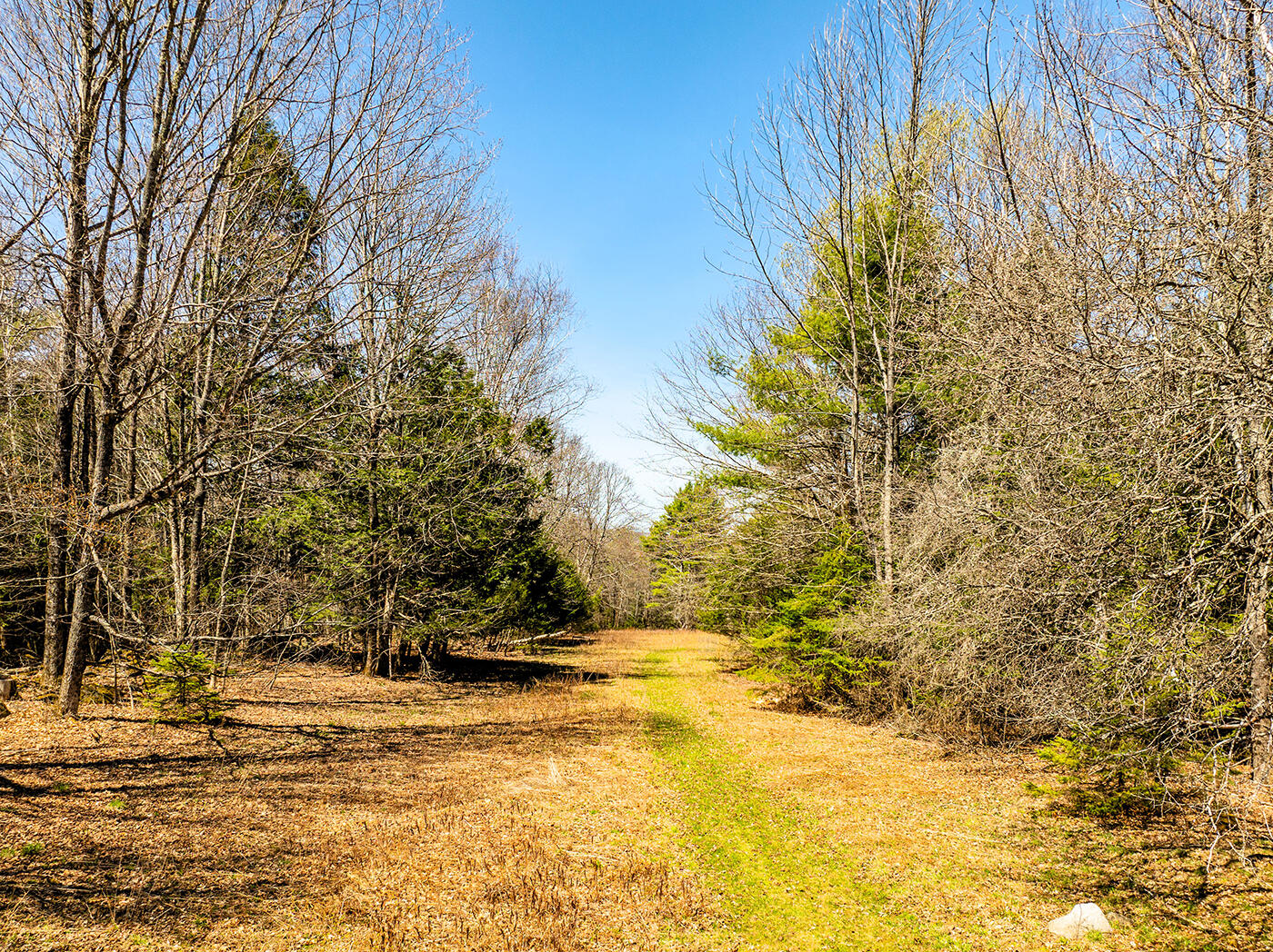 500 Goosepecker Ridge Road Montville, ME 04941 - Photo 49 of 74 DJI_0002