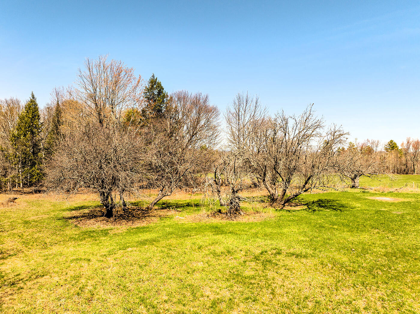 500 Goosepecker Ridge Road Montville, ME 04941 - Photo 67 of 74 DJI_0990