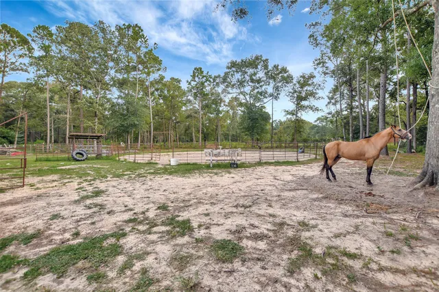 a backyard of a house with lots of green space
