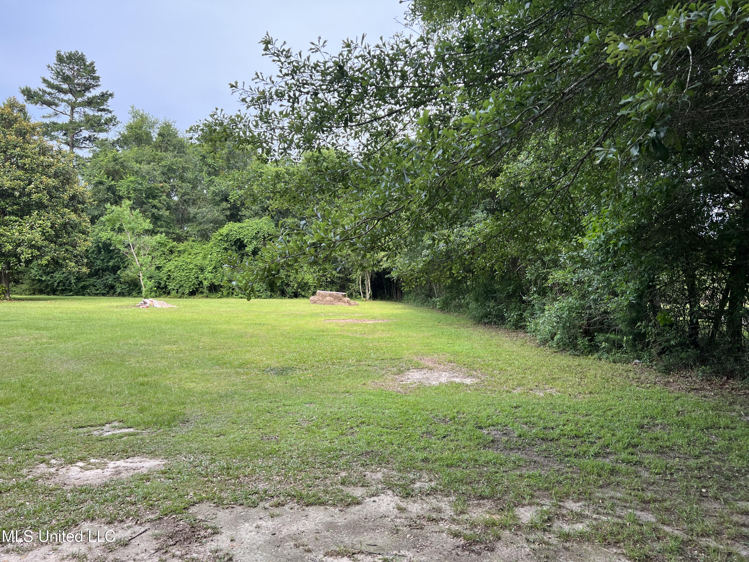 55 East K V Road Perkinston, MS 39573 - Photo 17 of 18 IMG-2138