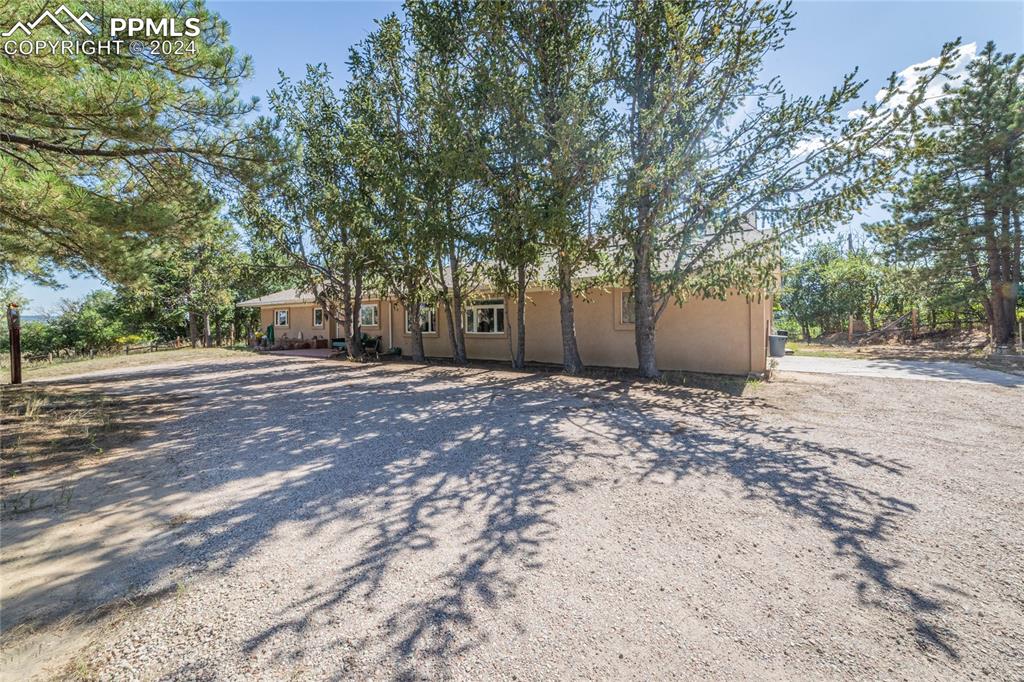 2915 Mt Herman Road Monument, CO 80132 - Photo 9 of 39 a view of a yard with a tree