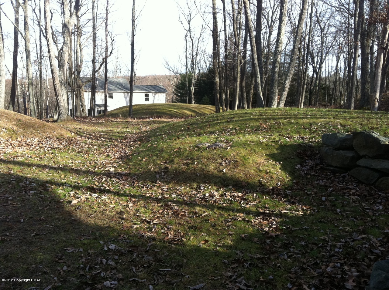 141 Rodeo Drive Hawley, PA 18428 - Photo 17 of 17 a big yard with lots of green space and plants