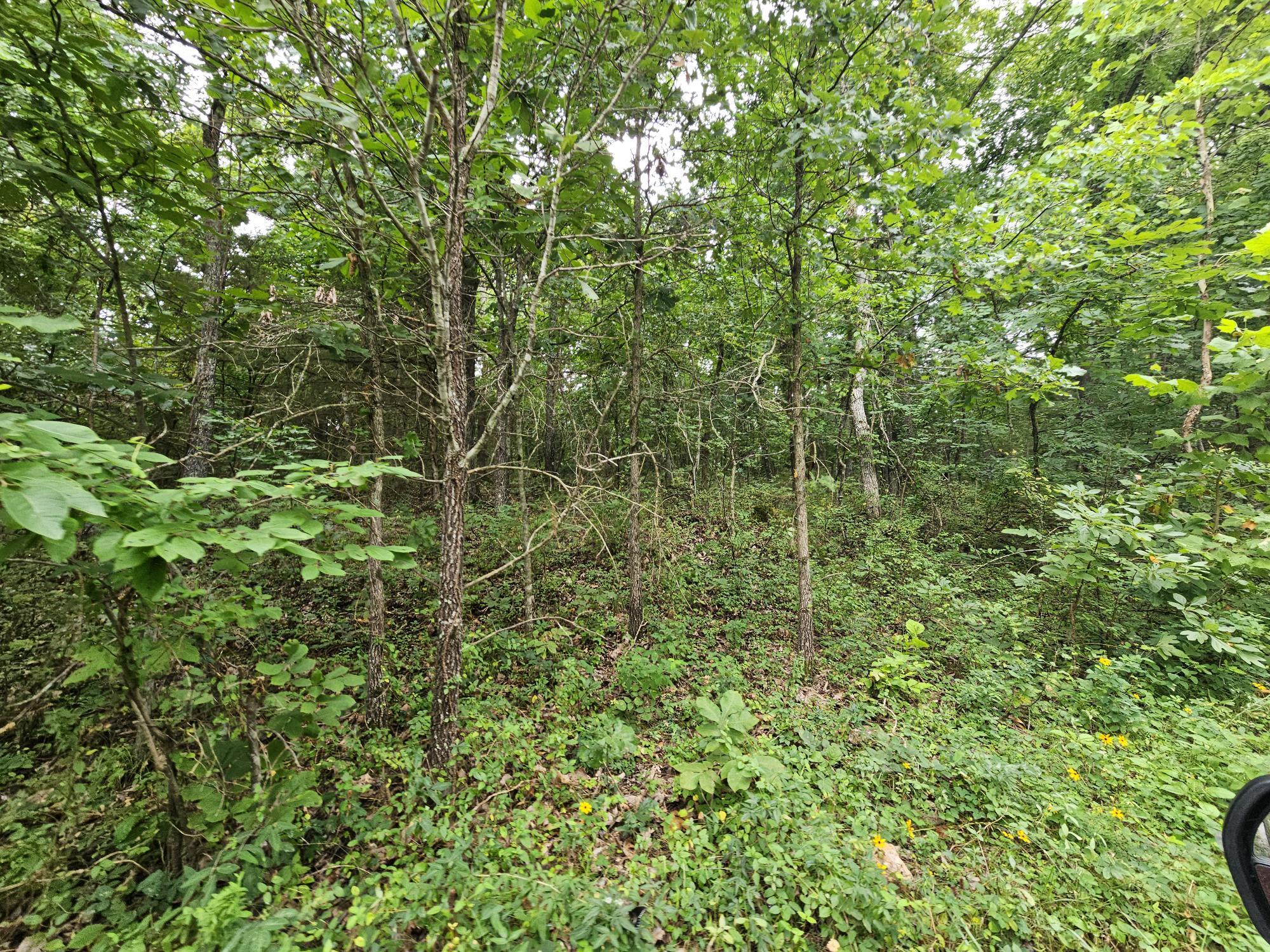 -18 Ac Westview Road Neosho, MO 64850 - Photo 11 of 12 Bresee 18 ac pic