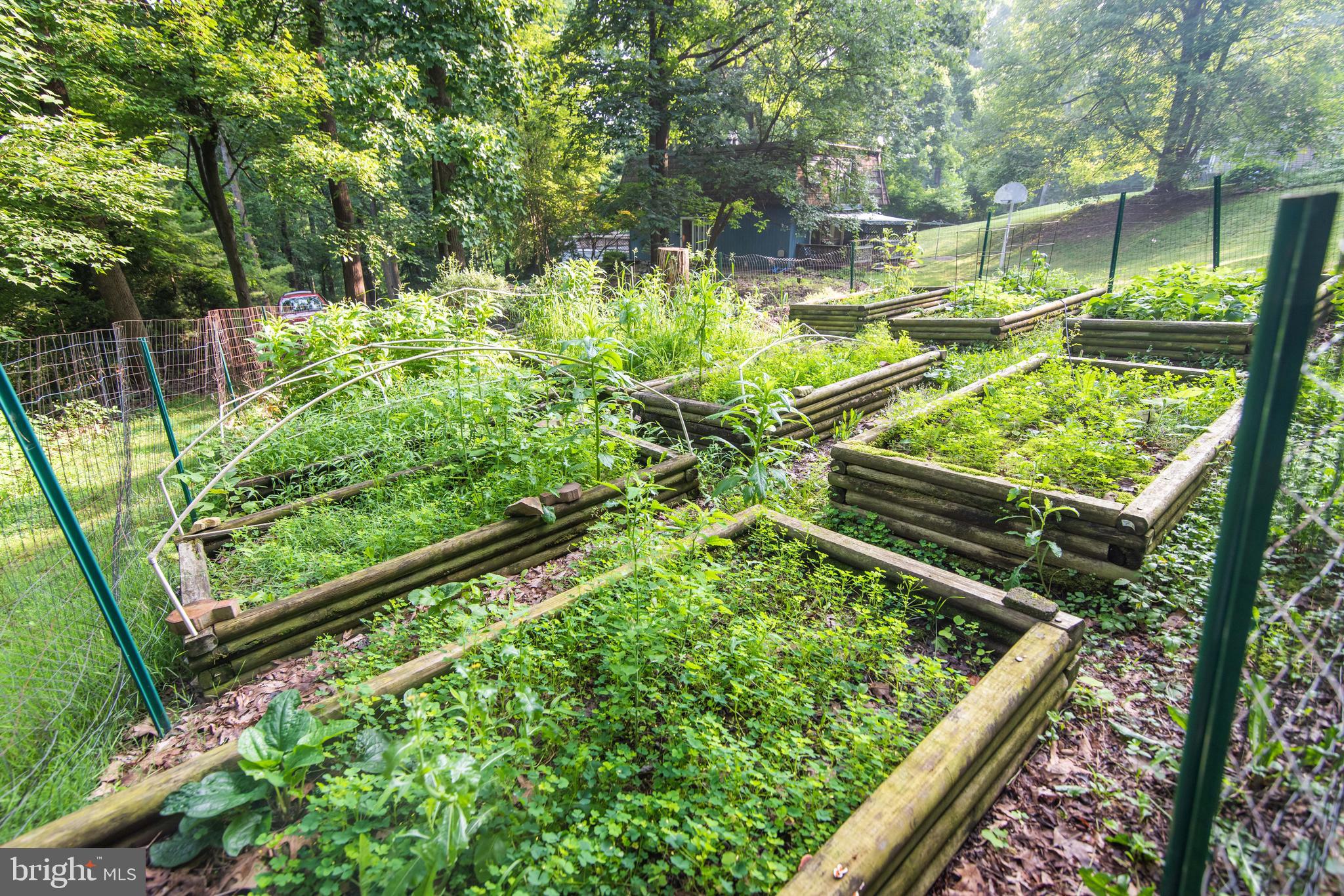 990 Quarry Road Gap, PA 17527 - Photo 54 of 62 Raised gardens