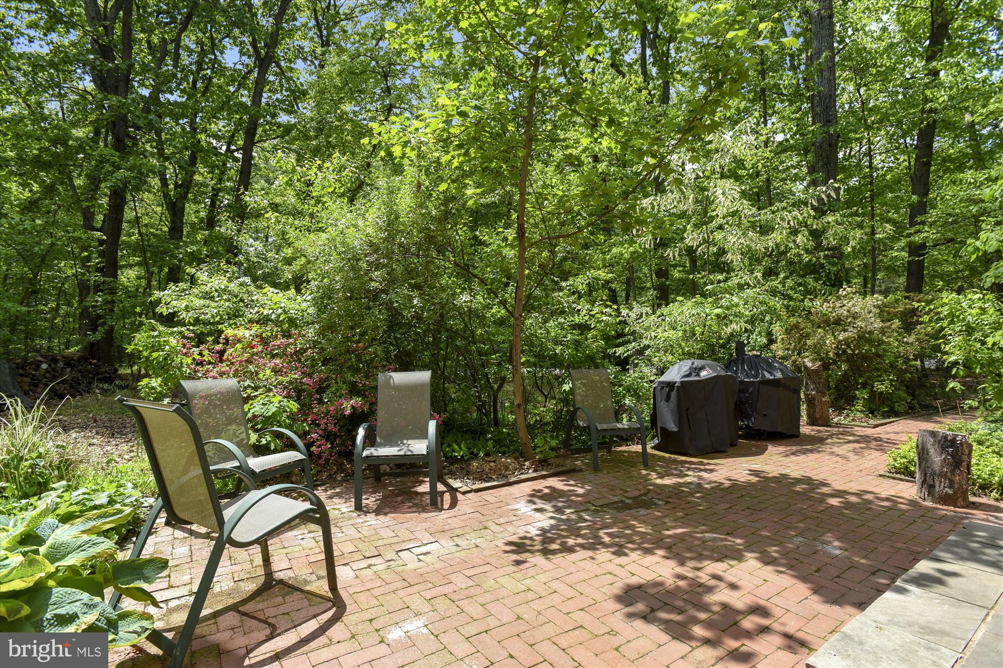 2410 Bugle Lane Reston, VA 20191 - Photo 19 of 65 Amazingly private back yard and patio