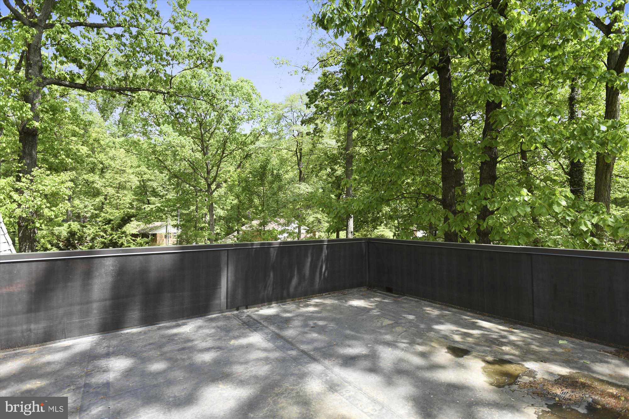 2410 Bugle Lane Reston, VA 20191 - Photo 28 of 65 Imagine yourself here - it's SO peaceful!