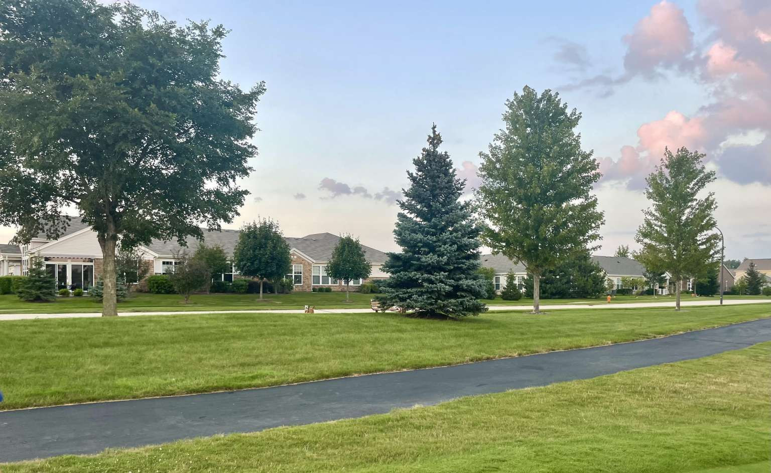 2603 Avondale Circle Naperville, IL 60564 - Photo 21 of 22 a view of a park