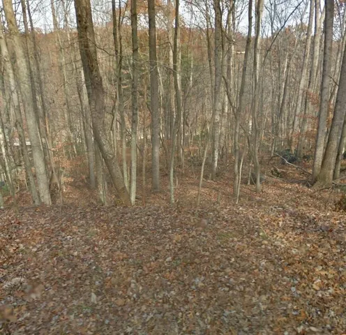 $54,900 | Lot 90 Lakeshore Terrace Road, Hardy, VA 24101