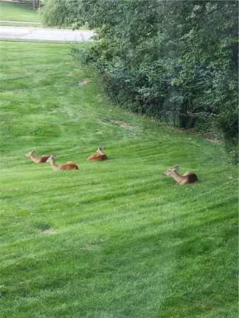 $625,000 | 1585 Sugar Maple Lane, Liberty, MO 64068