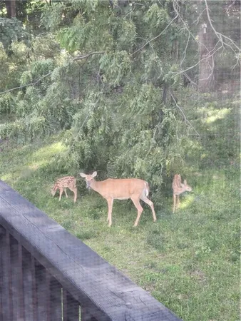 $625,000 | 1585 Sugar Maple Lane, Liberty, MO 64068