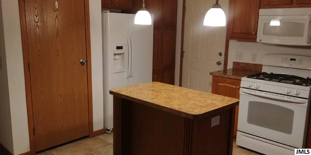 8001 Moon Lake Road Jackson, MI 49201 - Photo 4 of 19 Photo 4