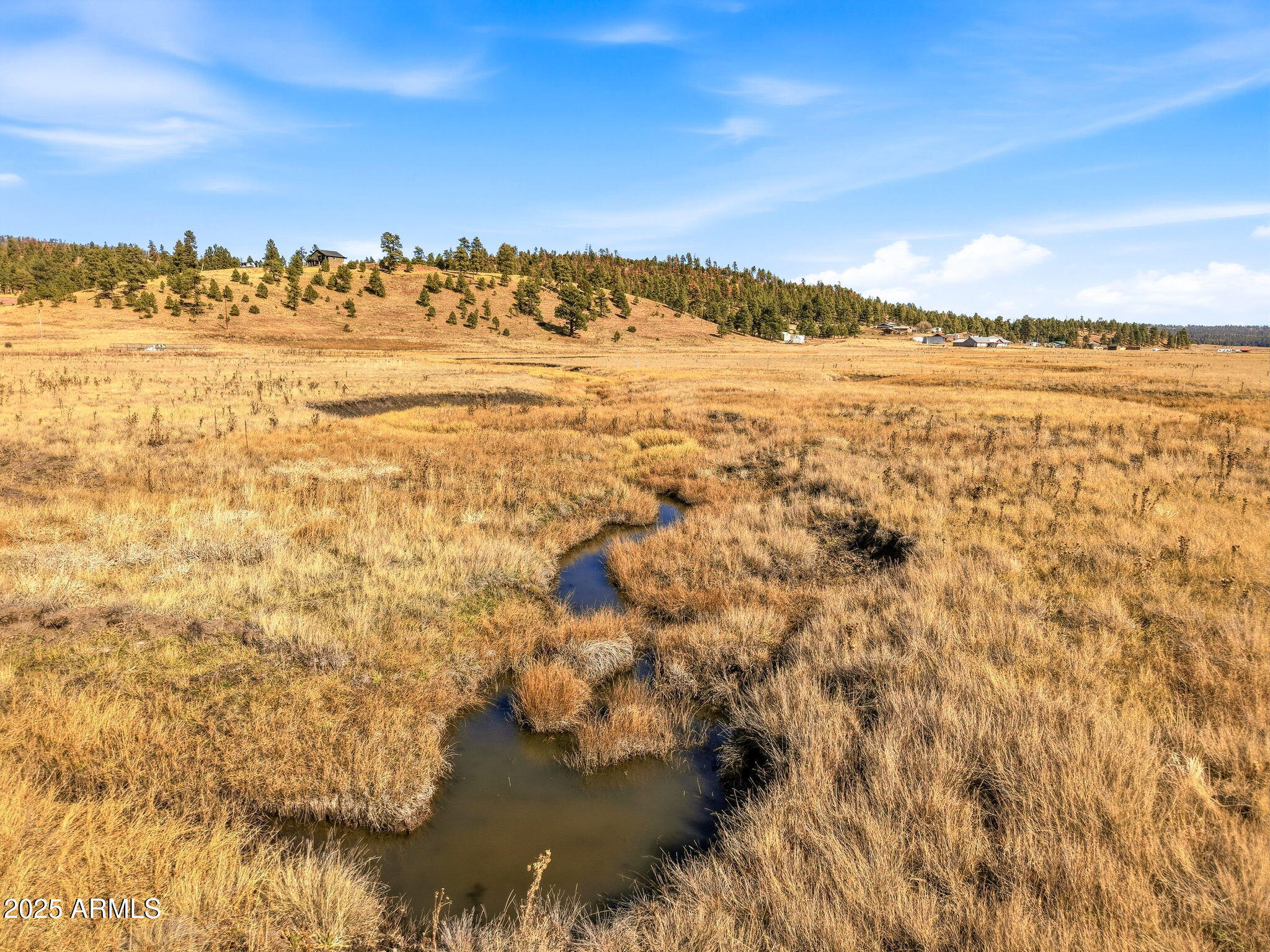 Lot 25 The Ranch, Unit 25 Alpine, AZ 85920 - Photo 17 of 21 a view of an ocean