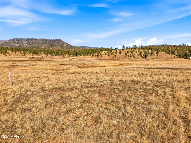 $205,000 | Lot 25 The Ranch, Unit 25, Alpine, AZ 85920
