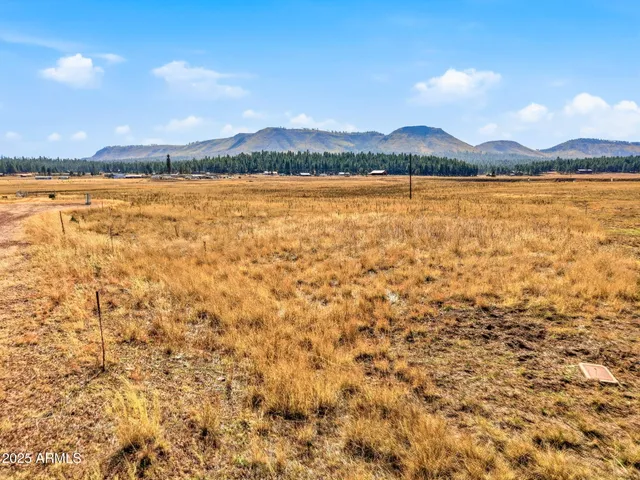 $205,000 | Lot 25 The Ranch, Unit 25, Alpine, AZ 85920