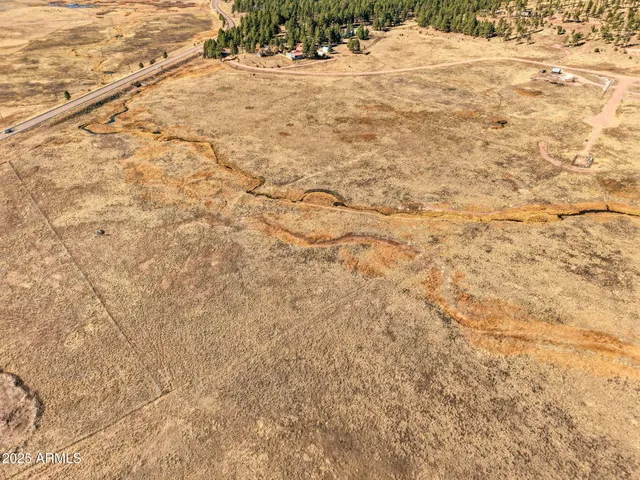 a view of a backyard of a house