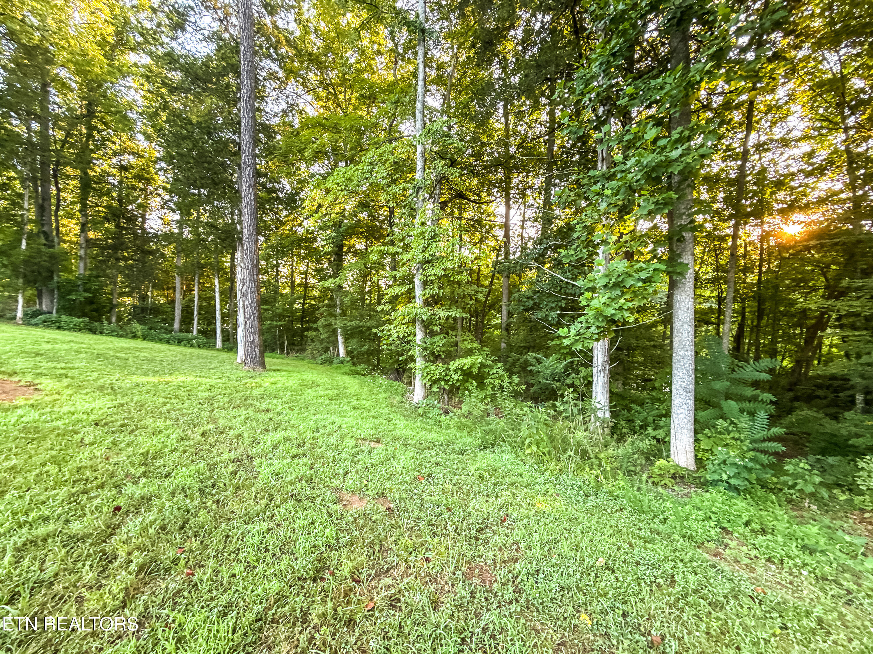 Helms Ferry Road Sharps Chapel, TN 37866 - Photo 16 of 43 020250724-1-LOT18HelmsFerryRdSharpsChape