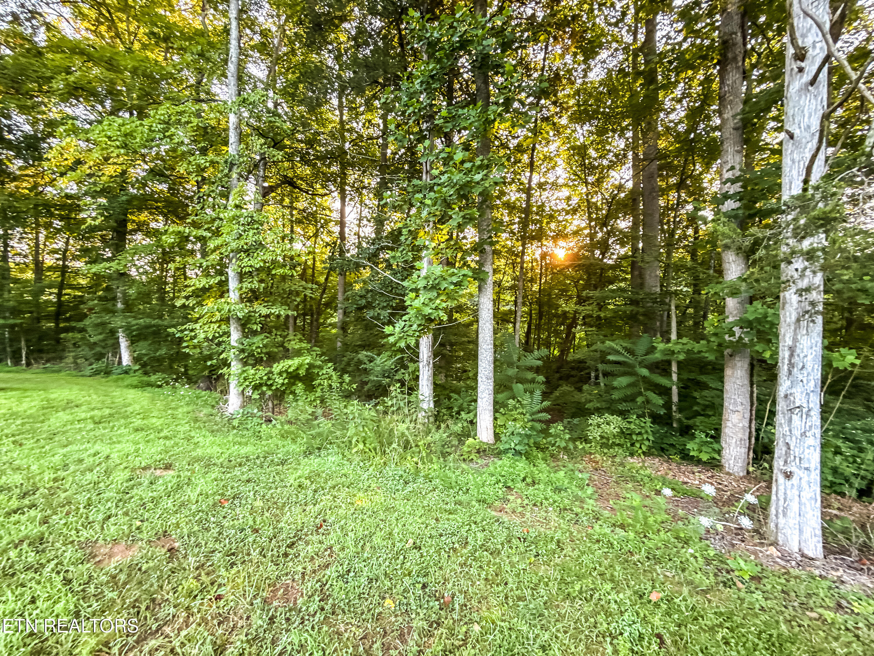 Helms Ferry Road Sharps Chapel, TN 37866 - Photo 17 of 43 021250724-1-LOT18HelmsFerryRdSharpsChape