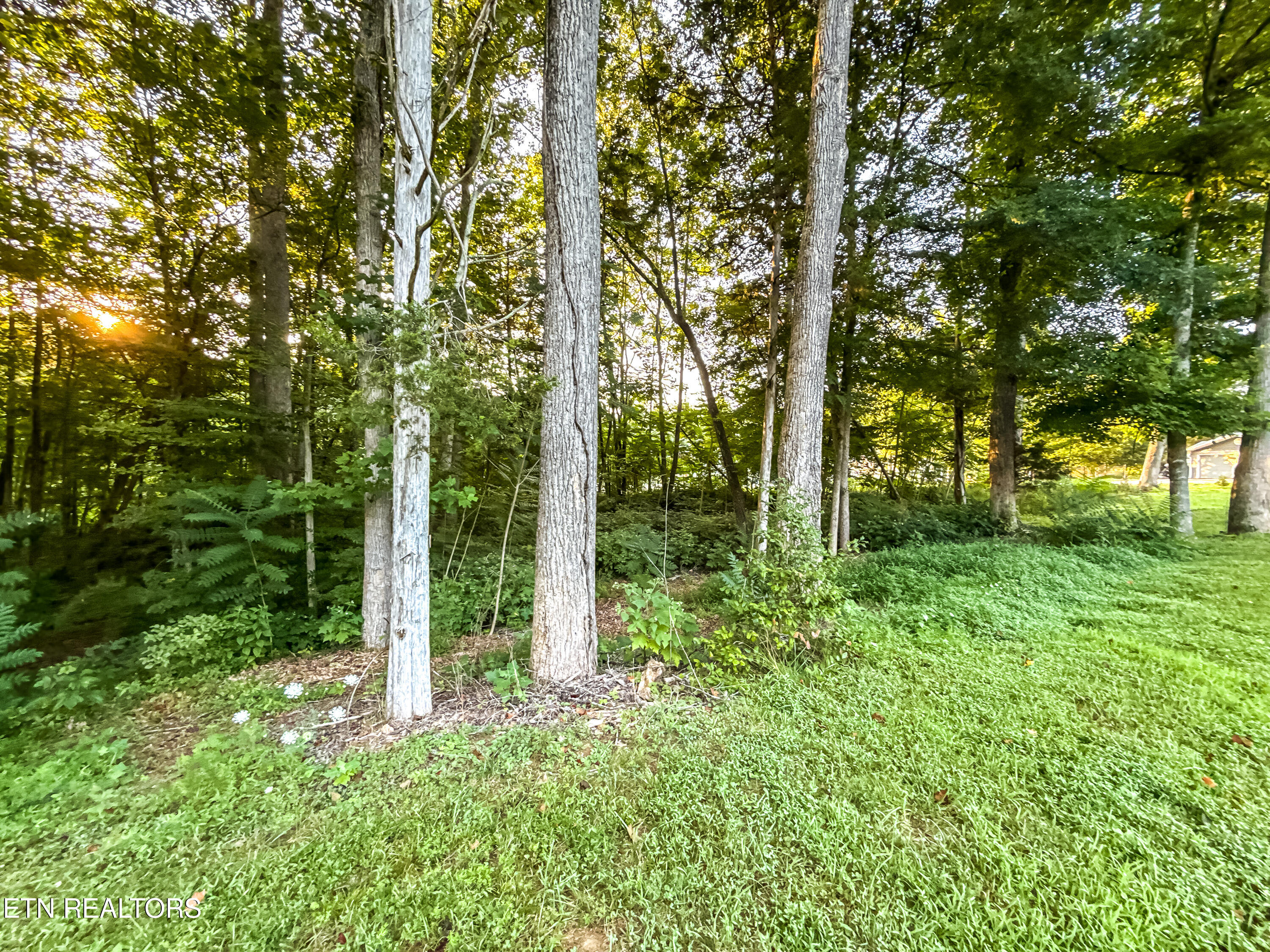 Helms Ferry Road Sharps Chapel, TN 37866 - Photo 18 of 43 024250724-1-LOT18HelmsFerryRdSharpsChape
