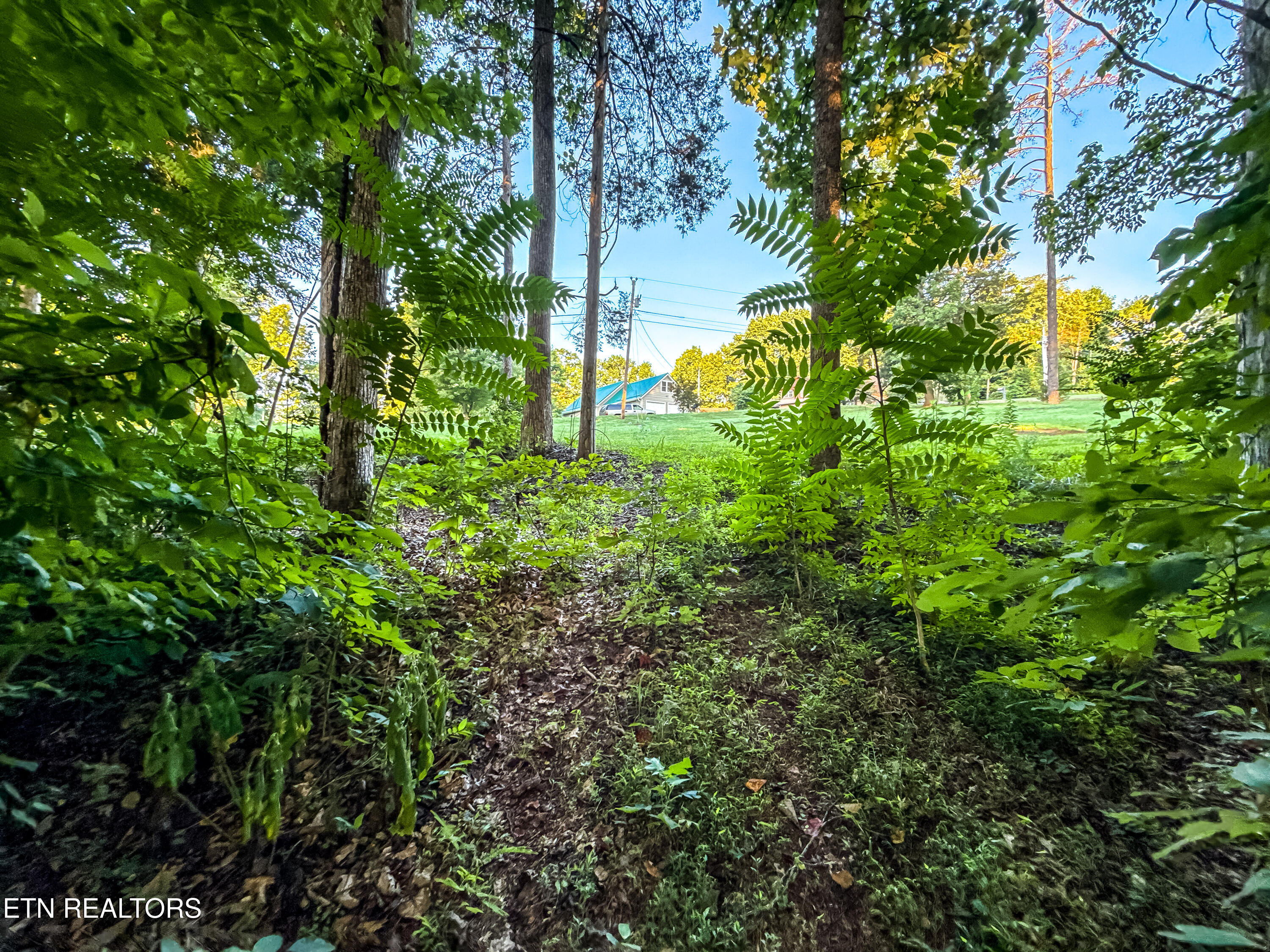 Helms Ferry Road Sharps Chapel, TN 37866 - Photo 22 of 43 031250724-1-LOT18HelmsFerryRdSharpsChape