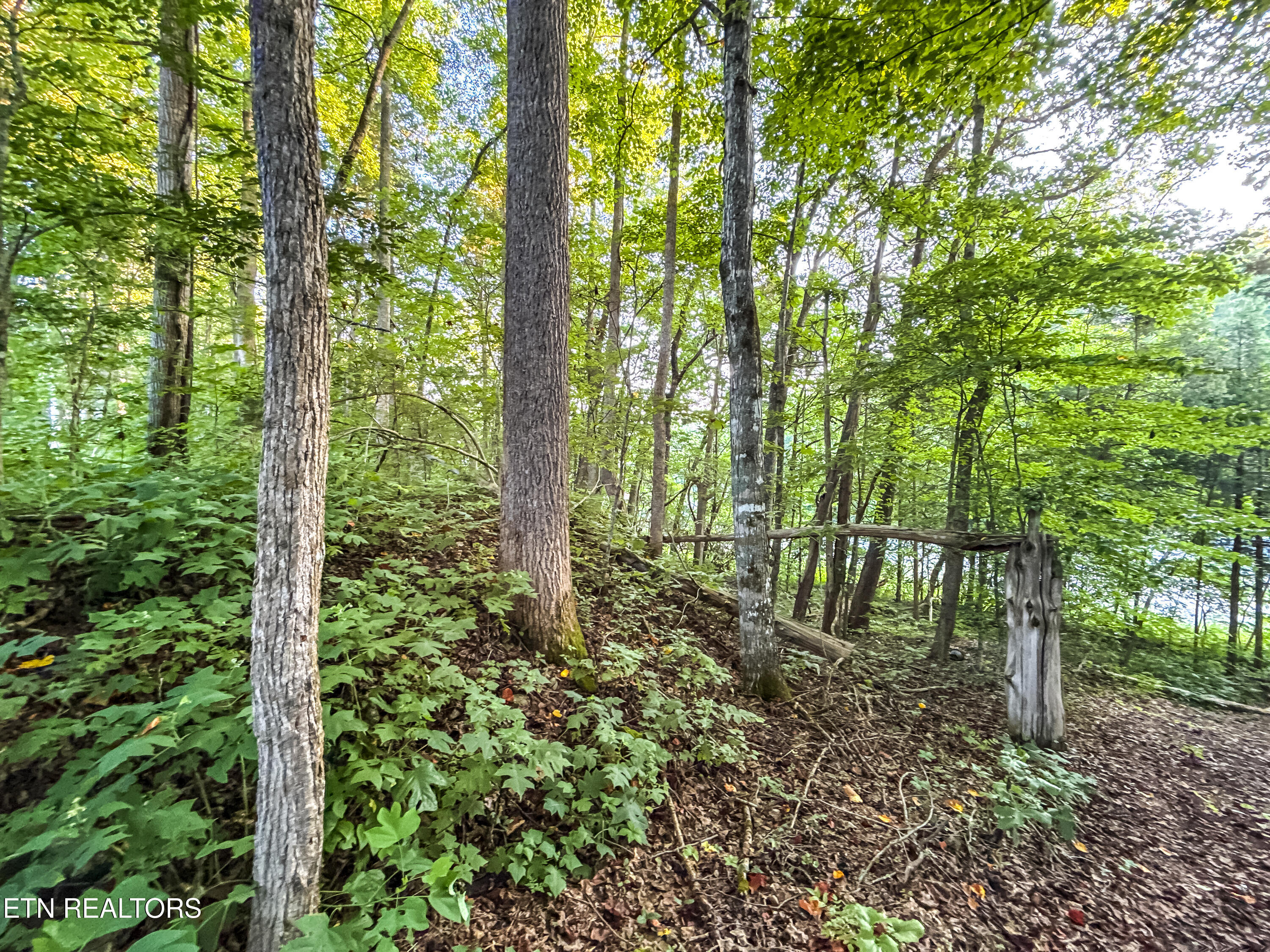 Helms Ferry Road Sharps Chapel, TN 37866 - Photo 23 of 43 032250724-1-LOT18HelmsFerryRdSharpsChape