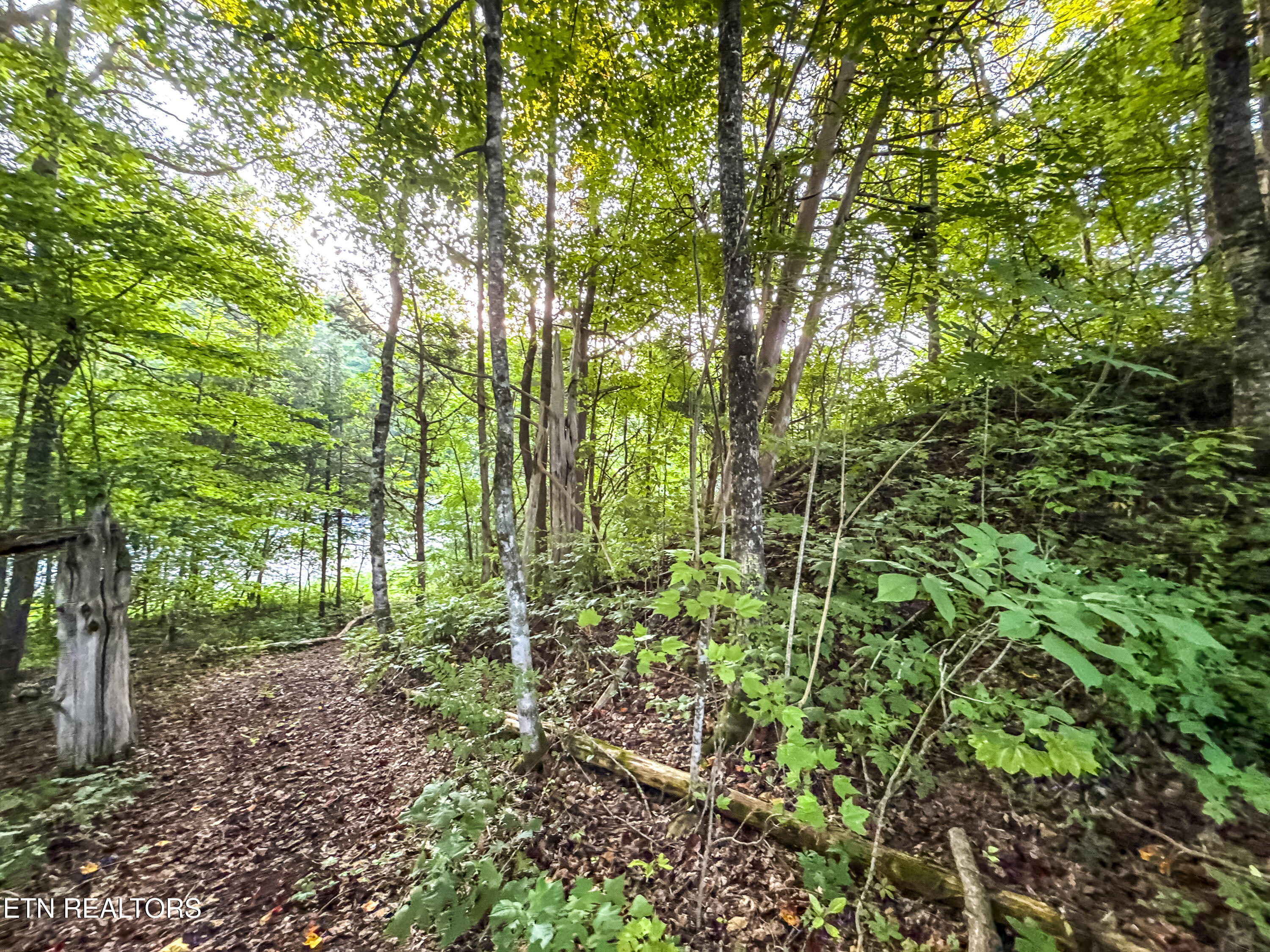 Helms Ferry Road Sharps Chapel, TN 37866 - Photo 24 of 43 034250724-1-LOT18HelmsFerryRdSharpsChape