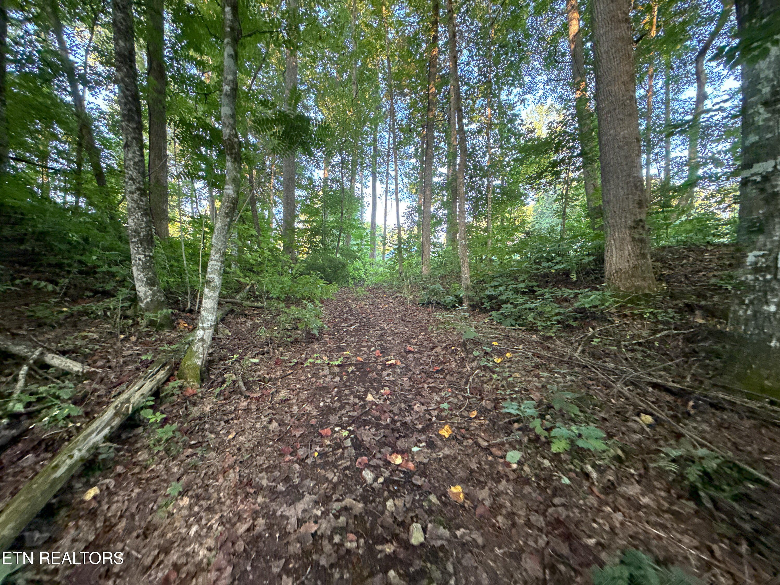 Helms Ferry Road Sharps Chapel, TN 37866 - Photo 25 of 43 037250724-1-LOT18HelmsFerryRdSharpsChape