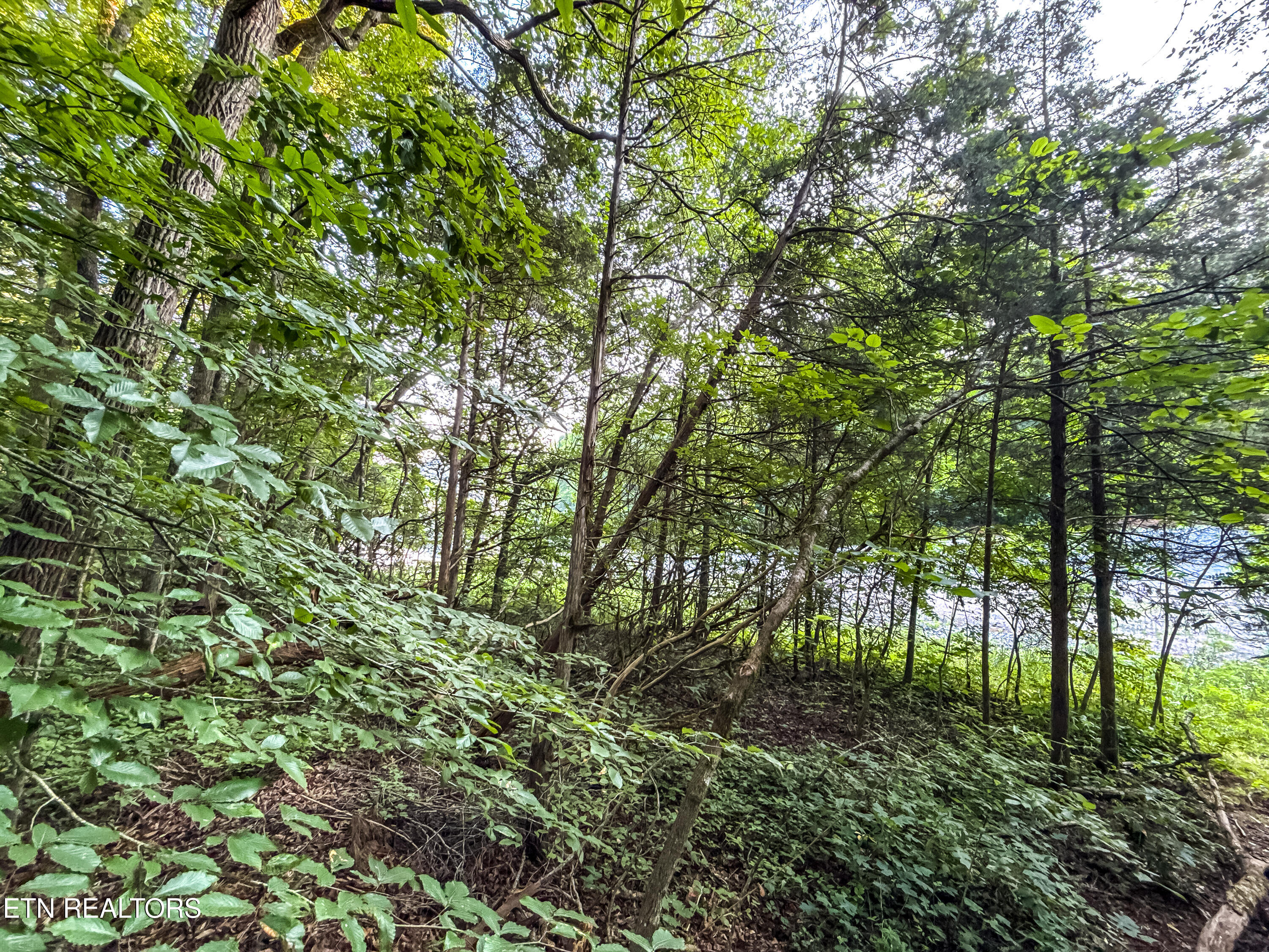 Helms Ferry Road Sharps Chapel, TN 37866 - Photo 26 of 43 038250724-1-LOT18HelmsFerryRdSharpsChape