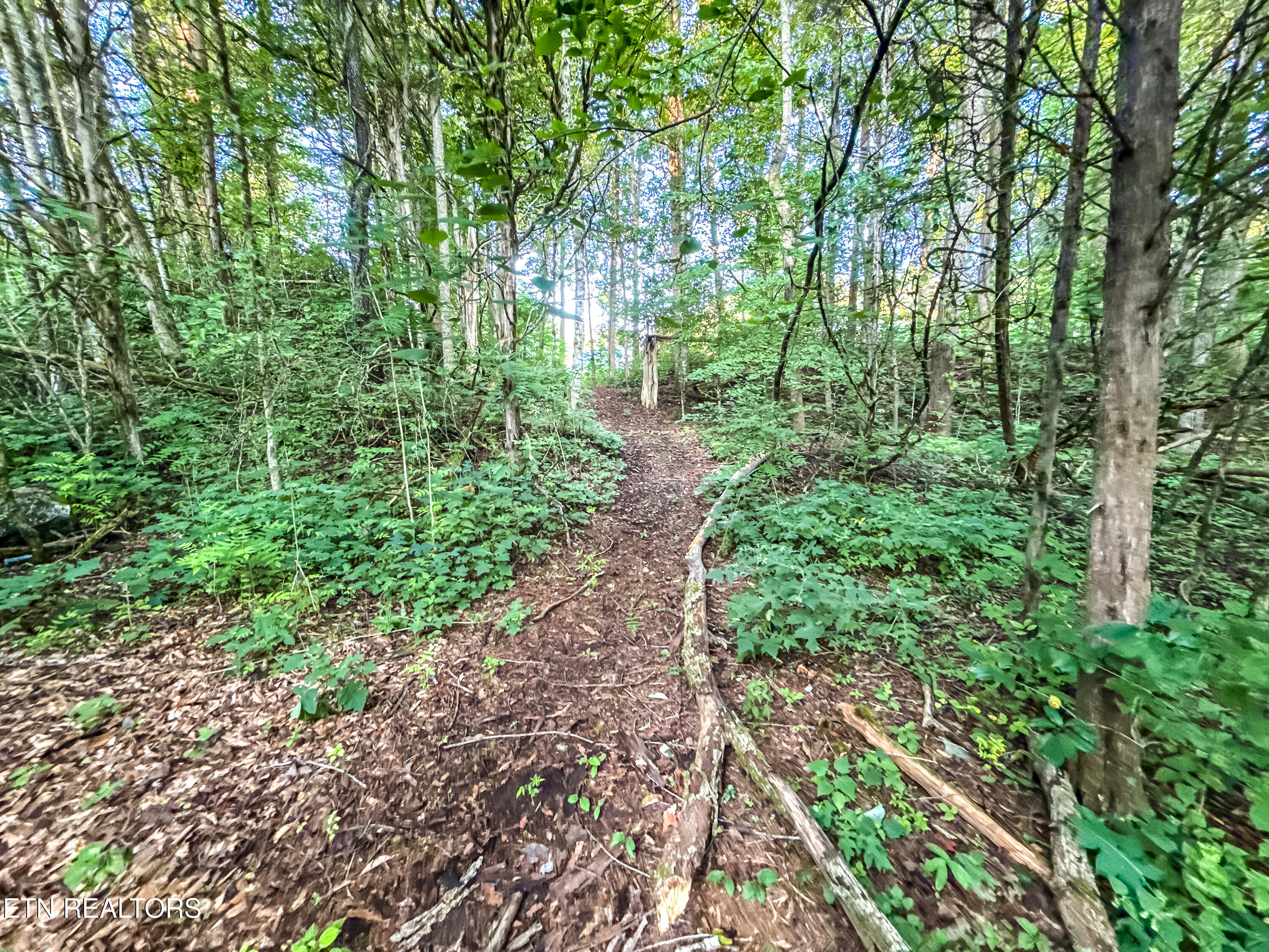 Helms Ferry Road Sharps Chapel, TN 37866 - Photo 30 of 43 045250724-1-LOT18HelmsFerryRdSharpsChape