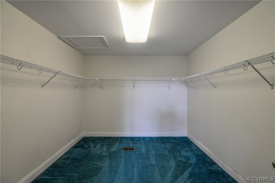 708 Buckner Road Bumpass, VA 23024 - Photo 29 of 40 a empty walk in closet