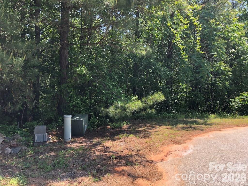 5 Geebees Way Mill Spring Mill Spring, NC 28756 - Photo 8 of 14