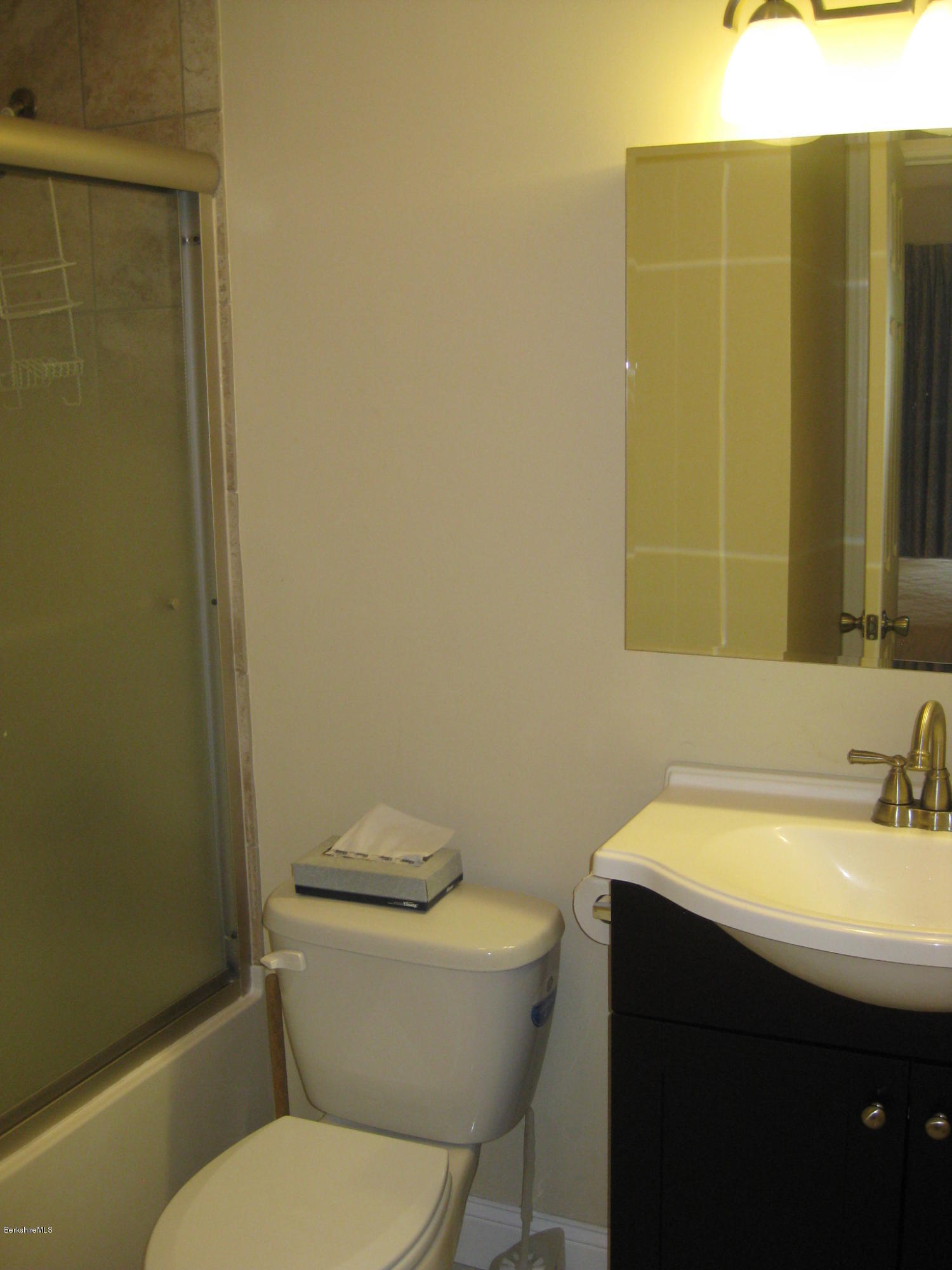 73 Corey Road, Unit 73 Hancock, MA 01237 - Photo 7 of 11 Master bathroom