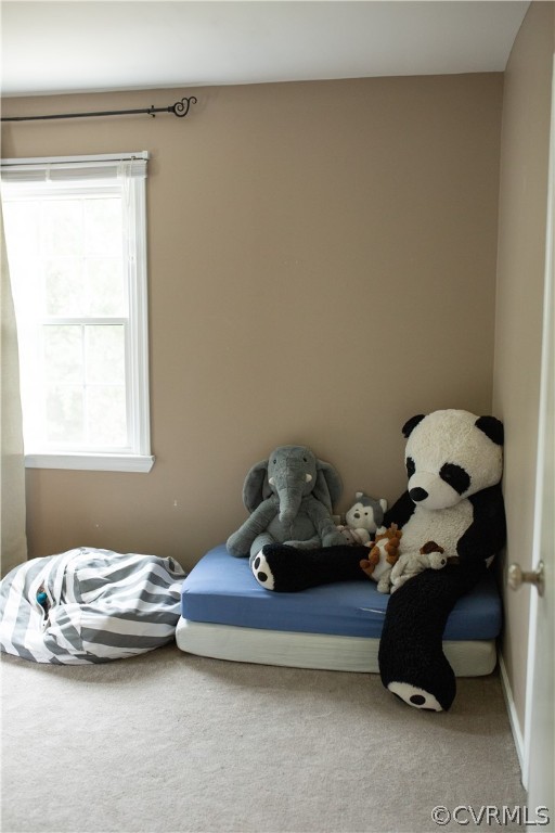 10522 Green Bay Road Rice, VA 23966 - Photo 20 of 34 Gallery Image 20
